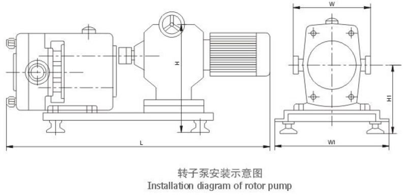 Rotor pump installation diagram